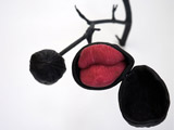 Curtis Weaver at GARBOUSHIAN GALLERY